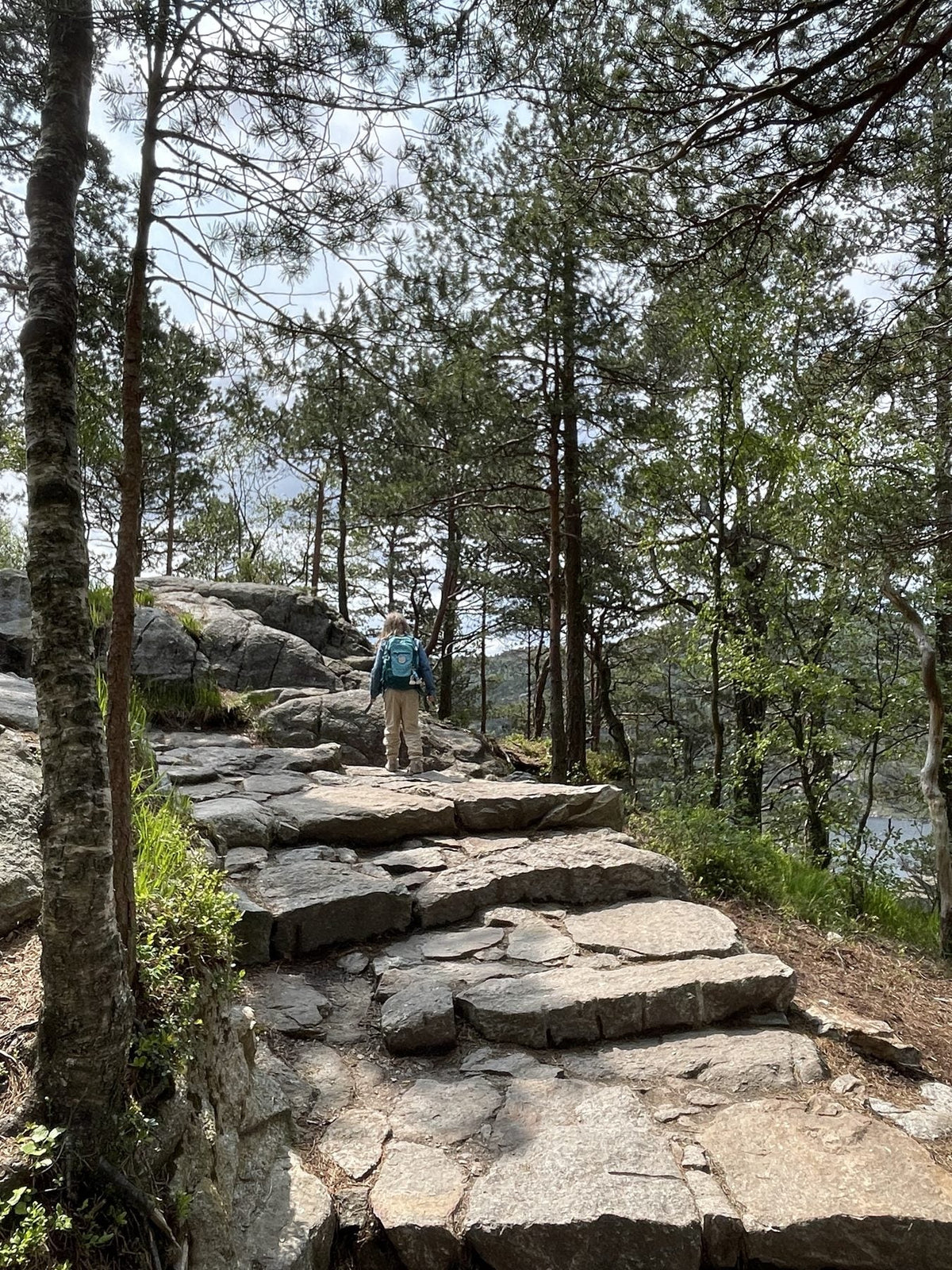 Wanderweg zum Preikestolen in Norwegen